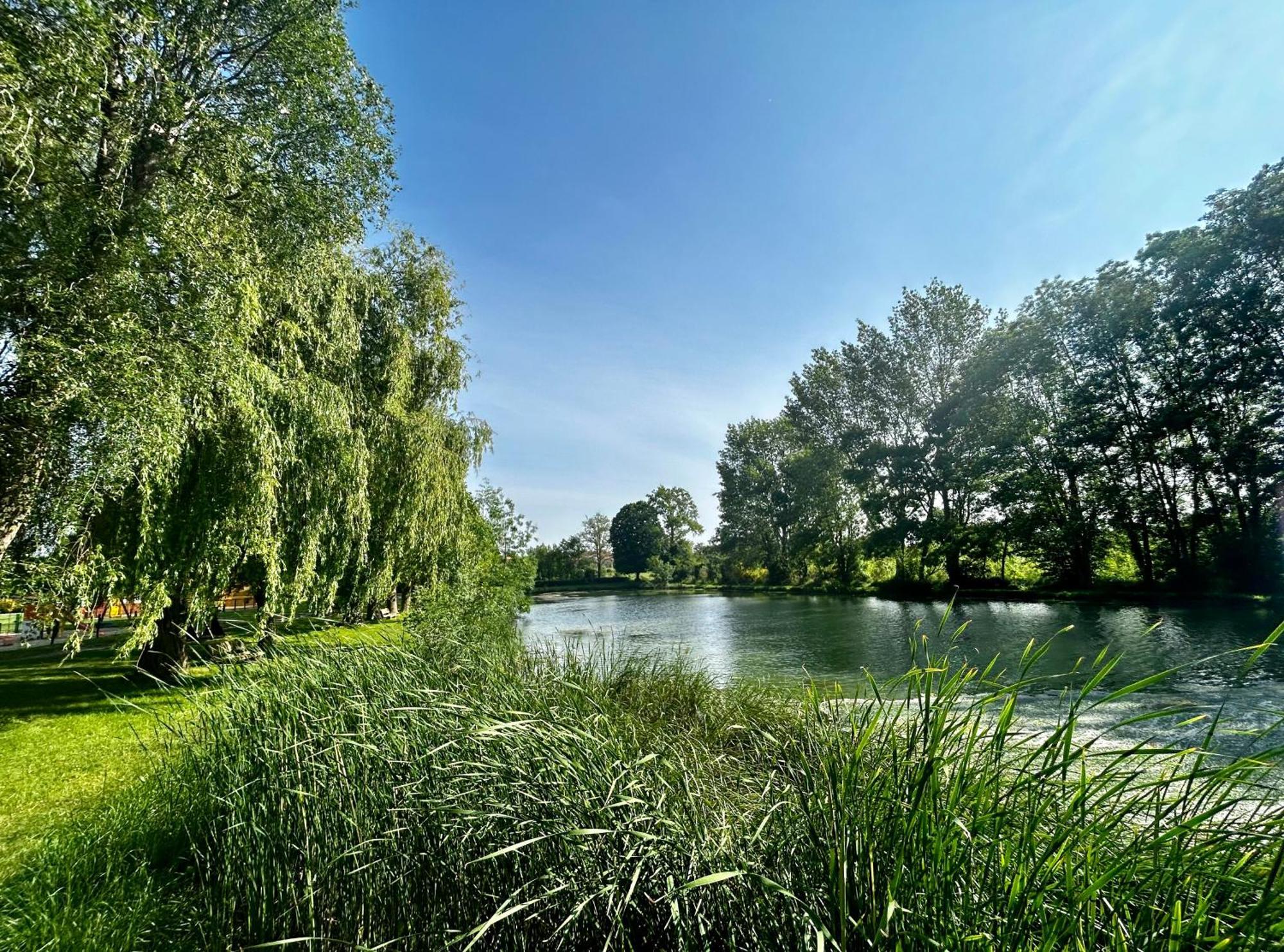 Les Cabanes Du Lac Vandre Exterior photo